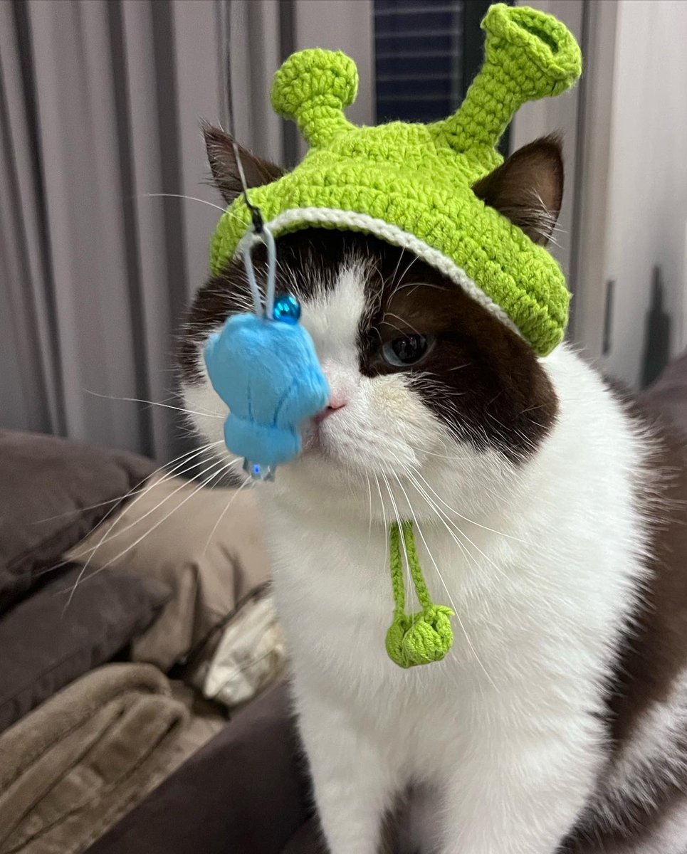 Support.Fish tweet media