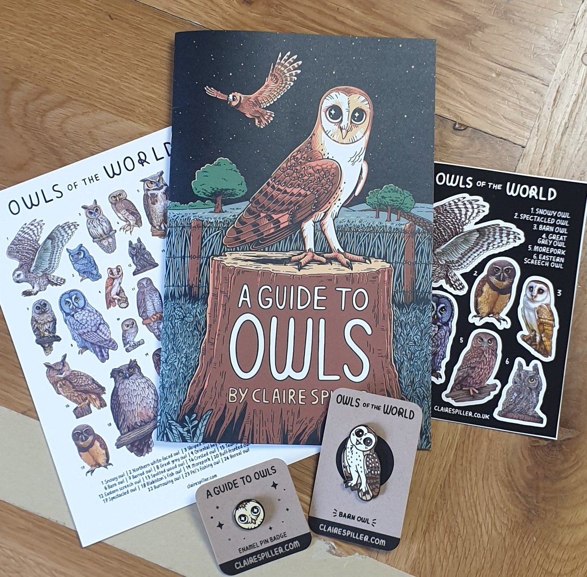 (Retweeting this because I accidentally deleted it) amazing reward haul came in from my Guide to Owls KS from @claireaspiller. Zine is amazing and pins are so lush!