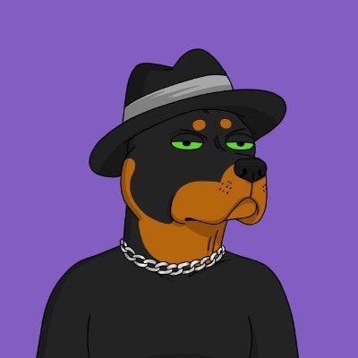 dethereum3_eth's tweet photo. 🐶🧢 What a stylish dog! With a silver chain around her neck and a hat on her head, she looks just unshakable! 😎🌟 https://t.co/4szdJIRlrV