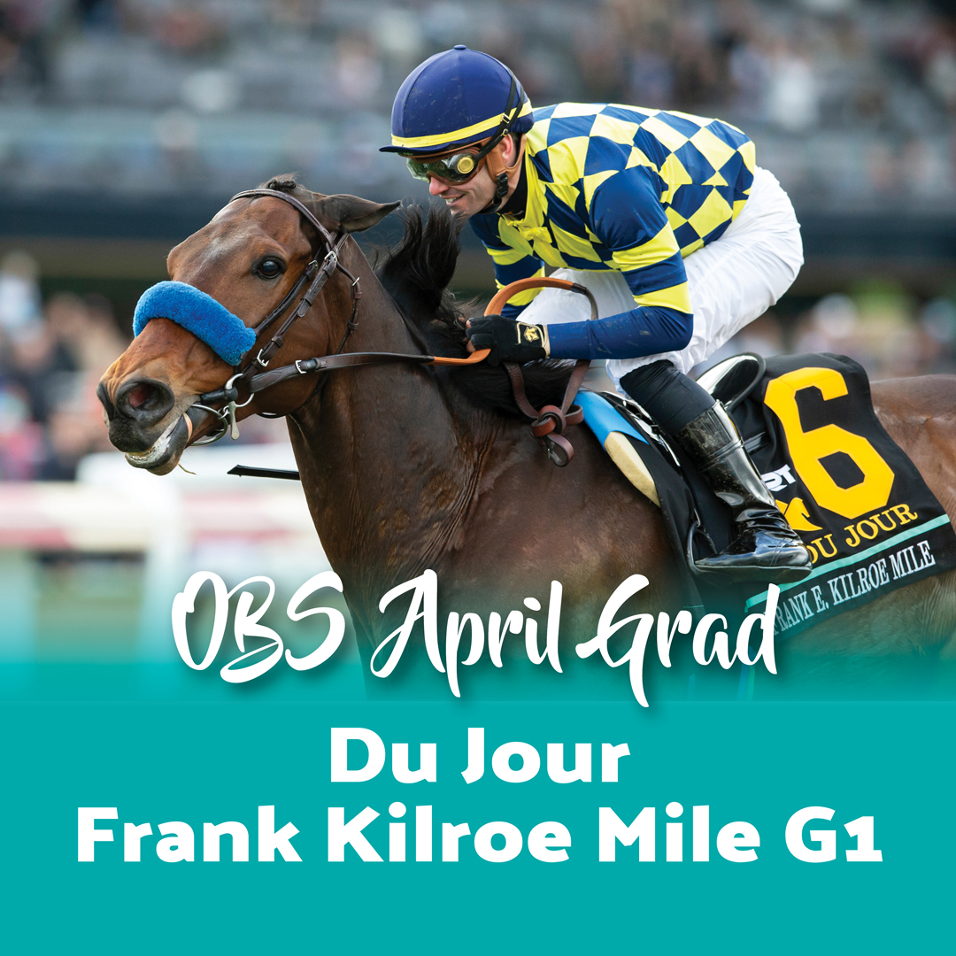 Du Jour (Temple City) a 2020 OBS Spring grad purchased for $280k by Donato Lanni, agent has had career earnings of over $1.1 million. He recently won the G1 Frank E. Kilroe Mile Stakes and the G2 Del Mar Mile Stakes. Get your next champion at OBS Spring on April 16 - 19.