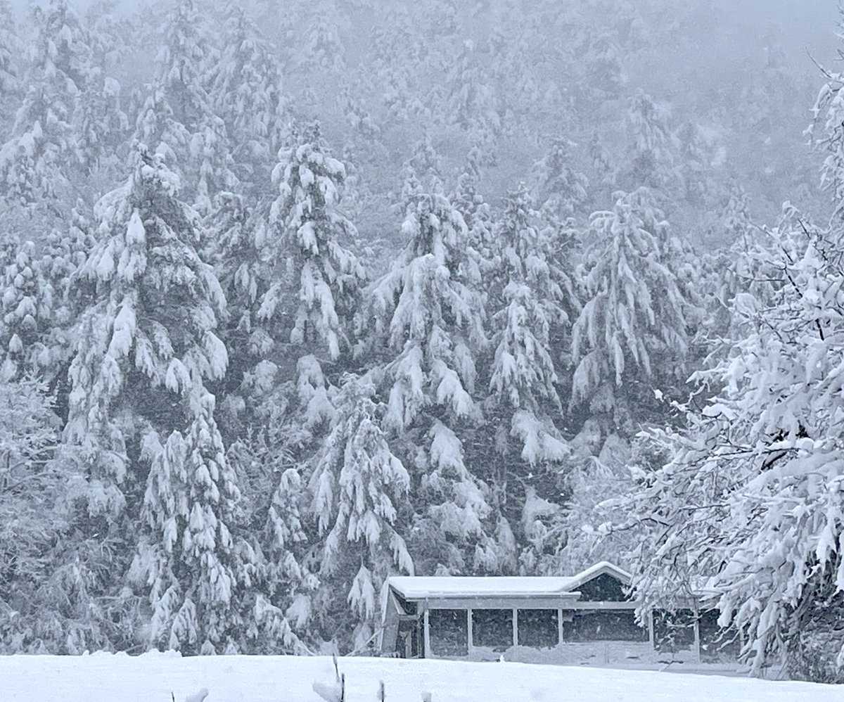 So we went to upstate New York to visit family and ran into an April blizzard, a power outage, and the road was blocked by fallen trees. Actually it was great fun.