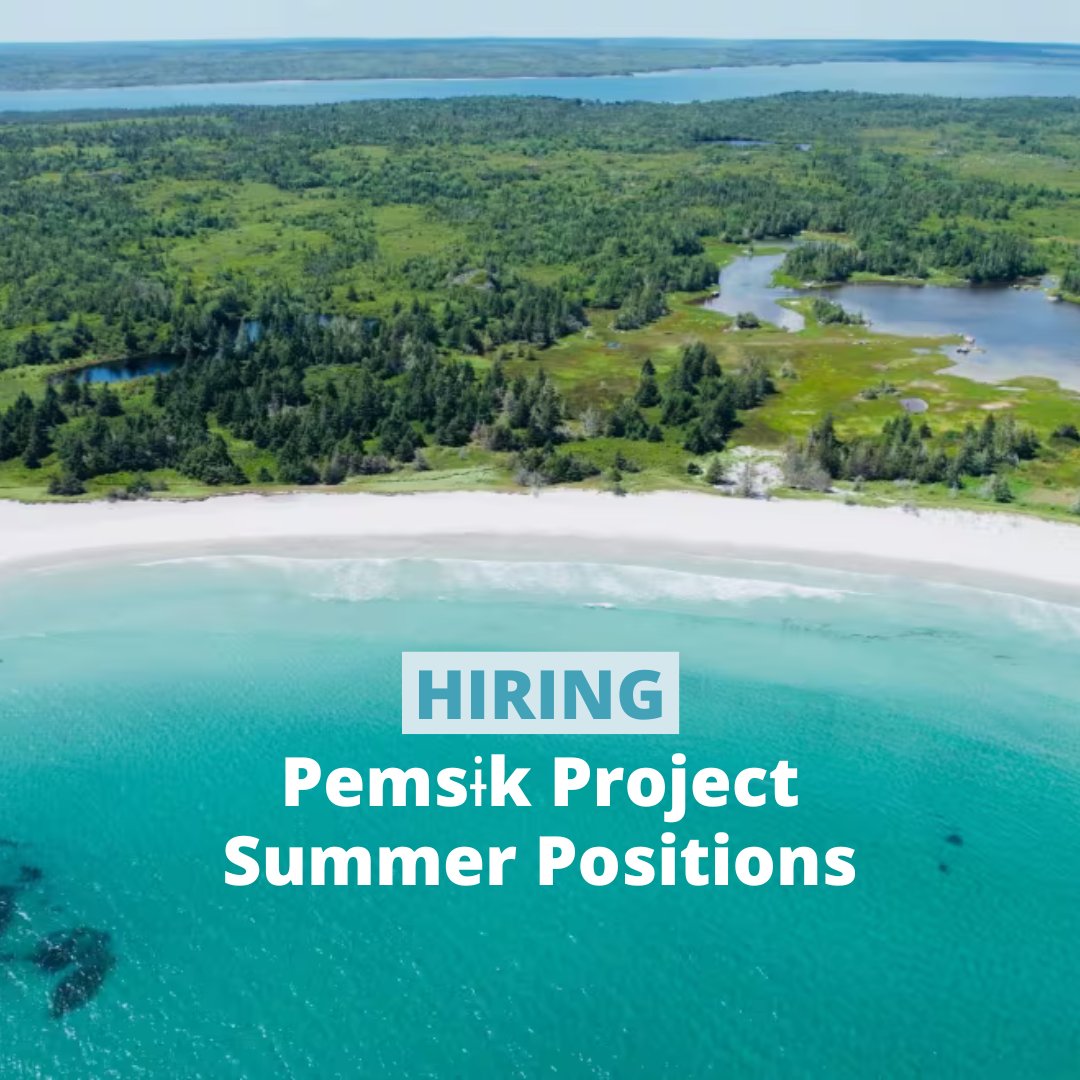 Pemsɨk is now hiring for 2024 summer positions! Each employee will assist in environmental monitoring, reporting, and documenting of Mi’kmaq Knowledge. Interested? You can find out more from the link, and email pemsikproject@gmail.com to apply. linkedin.com/feed/update/ur…