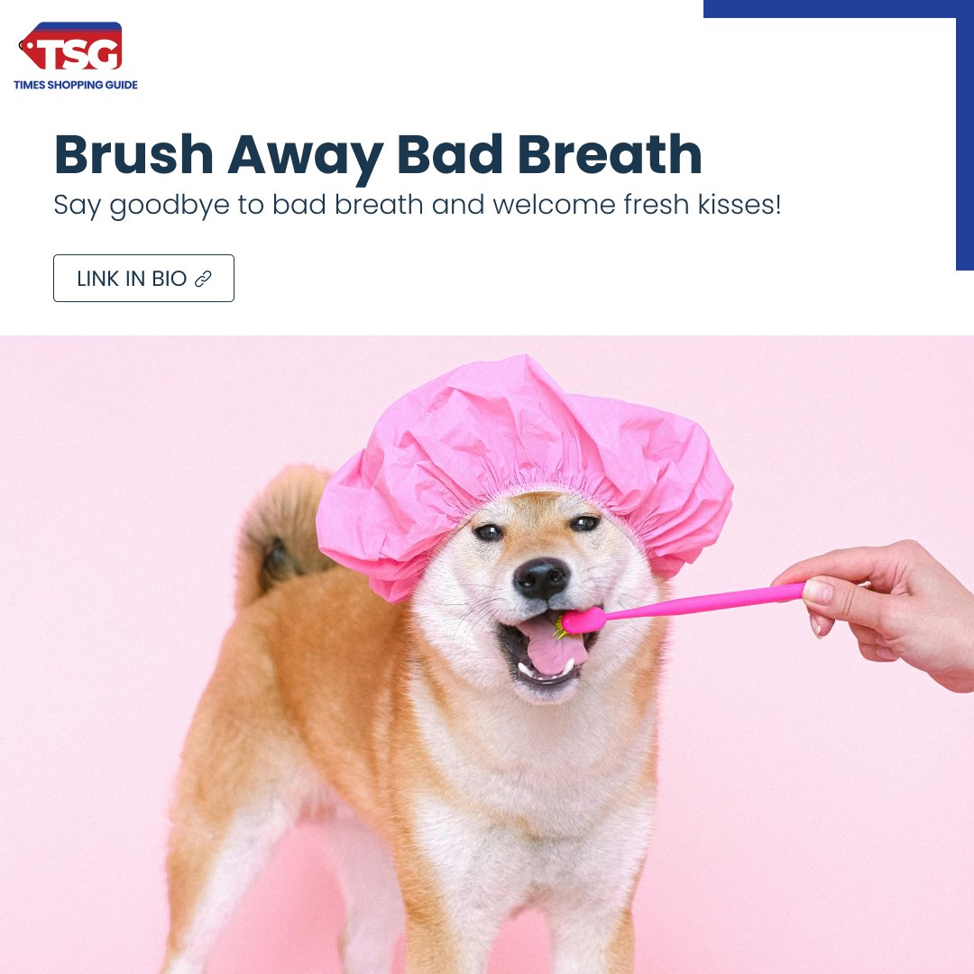 How's the gum health of your furry friend been lately? Add these toothpastes to your dog's oral hygiene and save your pocket from the next hefty vet bill! Check out the link for more details.
timesshoppingguide.com/pet-supplies/b…

#petcare #explore #trending