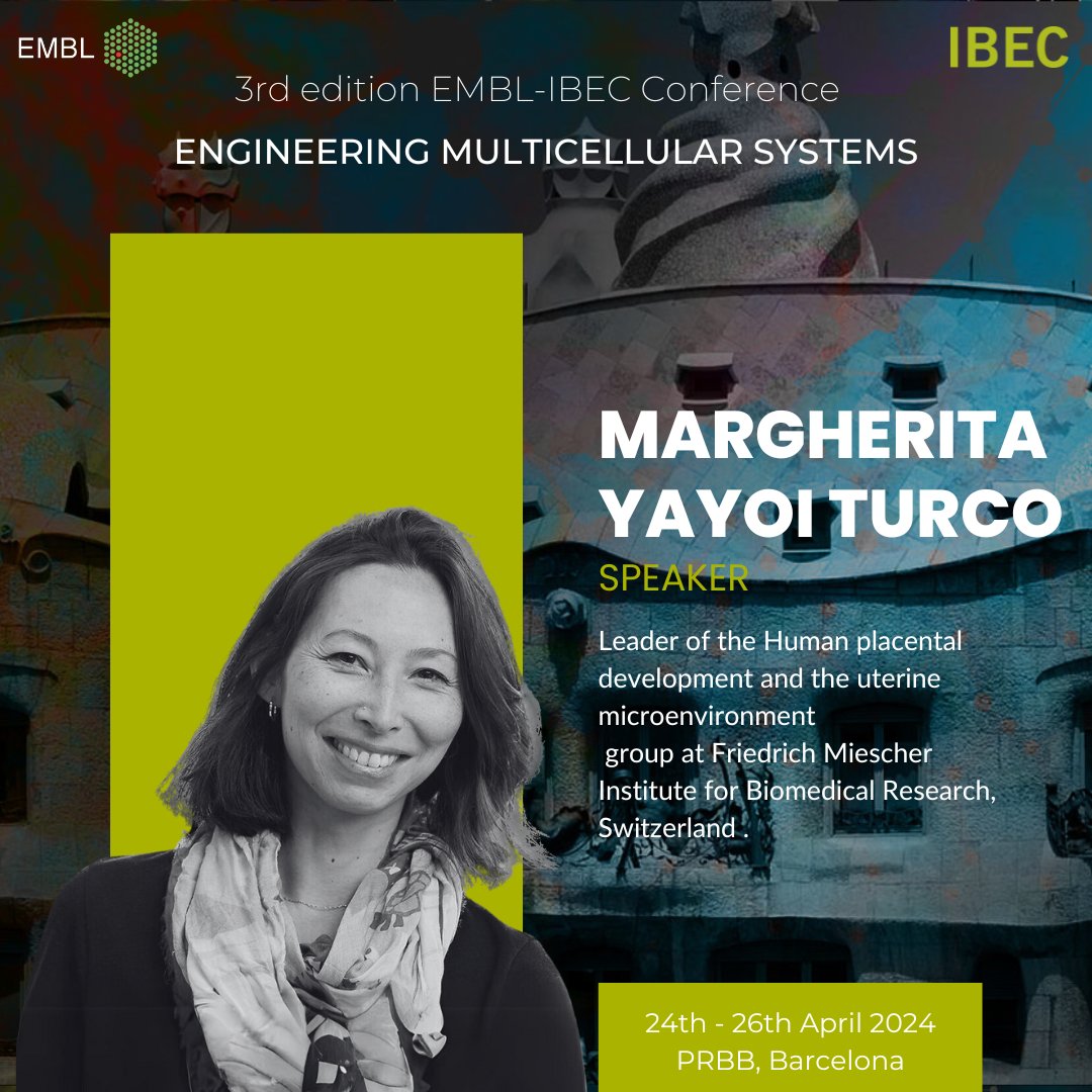 📢 Don't miss out on the chance to join #EMBL_IBECConf! Connect with renowned speakers, global experts in Engineering Multicellular Systems. 🗓️ 24-26 April 📍 @the_prbb | Barcelona 🎟️ LAST DAY for registration: i.mtr.cool/jagmfzucpo 🗣️ @torressancheza & Margherita Yayoi Turco