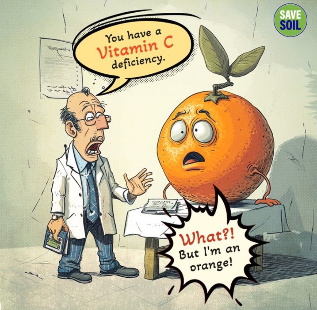 Human & Humus have the same root, haven't they ?
Our Health begins with #SoilHealth 🌏
#Soils4Nutrition
#SaveSoil #ConsciousPlanet
#SoilForClimateAction 
👉 SaveSoil.org
@UNBiodiversity @cpsavesoil @SadhgurujvF