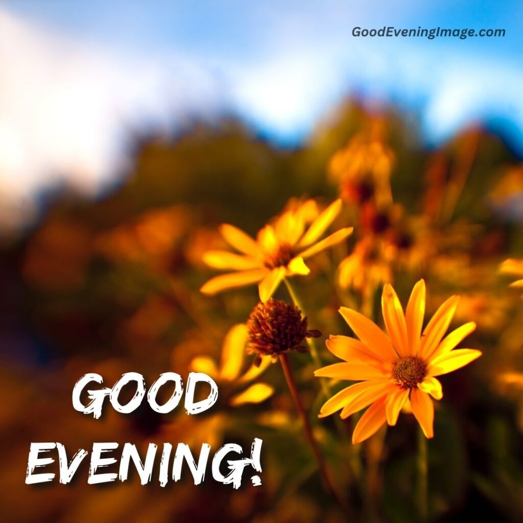 MMudassar206's tweet photo. Hallo gays!!
Aslam o alikam 
Good evening https://t.co/sXlVuEr01l