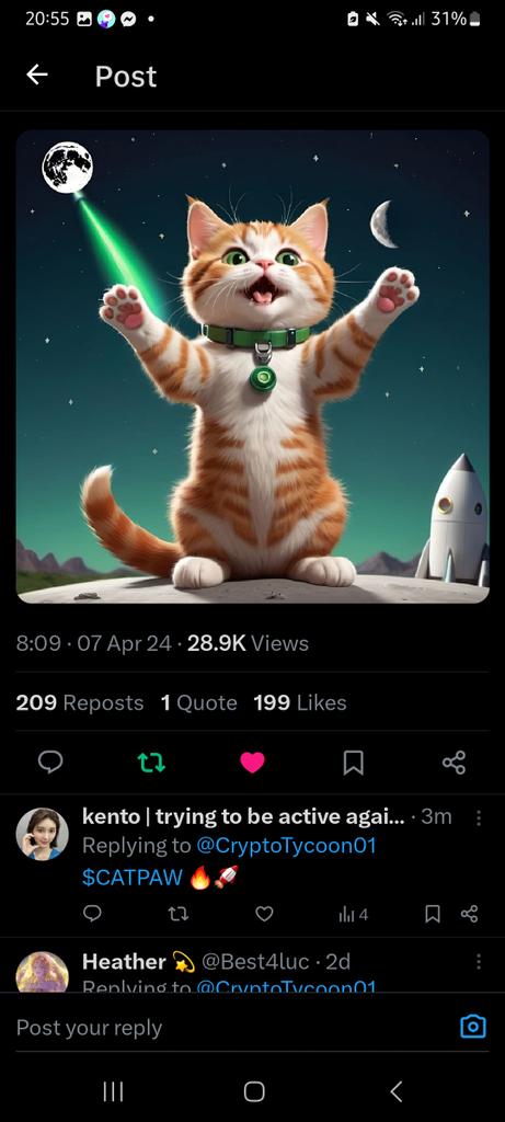 kento | inactive 🪫 tweet media