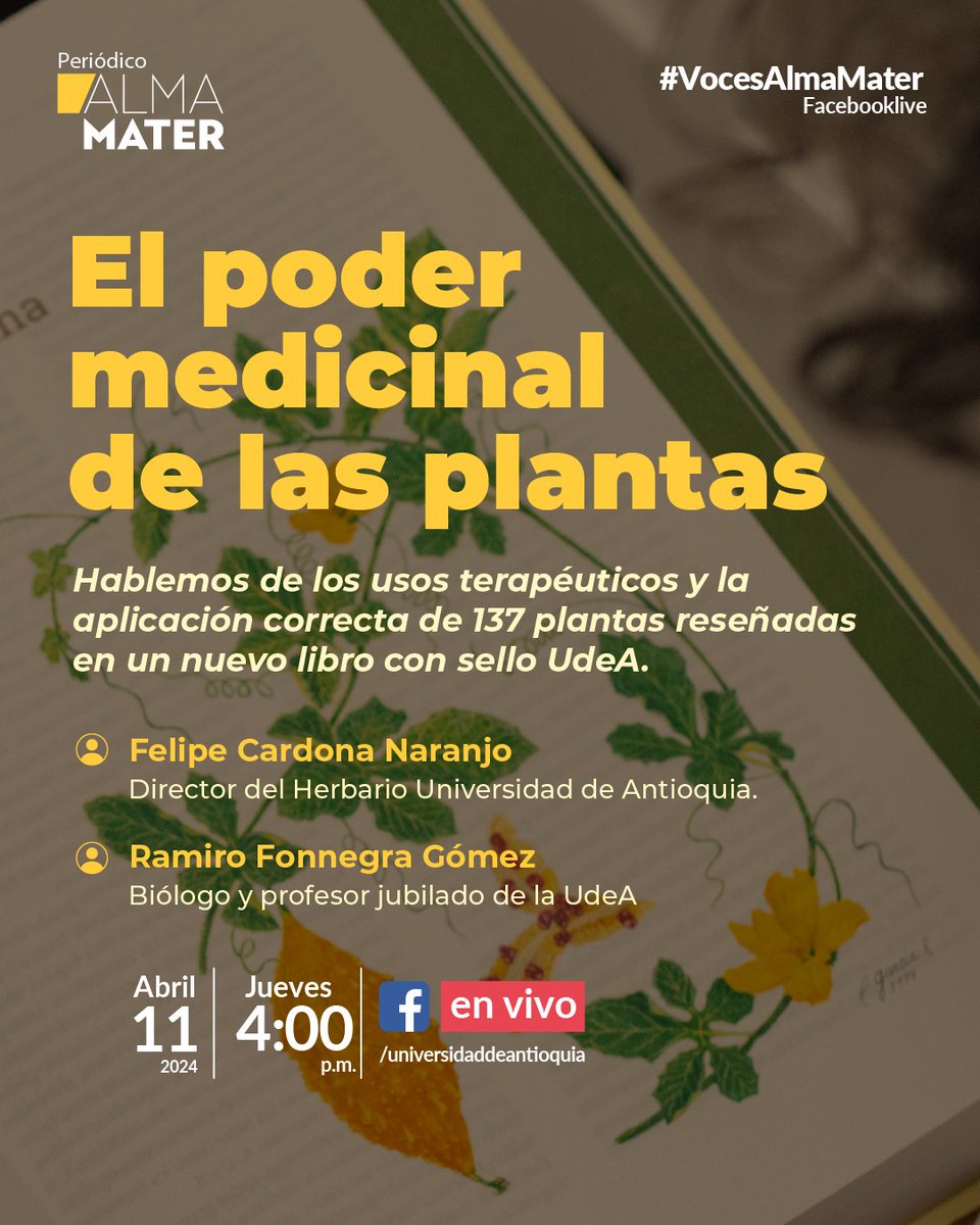 🌸☘️ ¿Algunas plantas tiene poder curativo? ¡Sí! Pero, ¿sabes cuáles y para qué síntomas? De este tema hablaremos, este jueves 11 de abril, en #VocesAlmaMater. 📱 ¡Conéctate a nuestro #FBLive a partir de las 4:00 p.m.! 👇