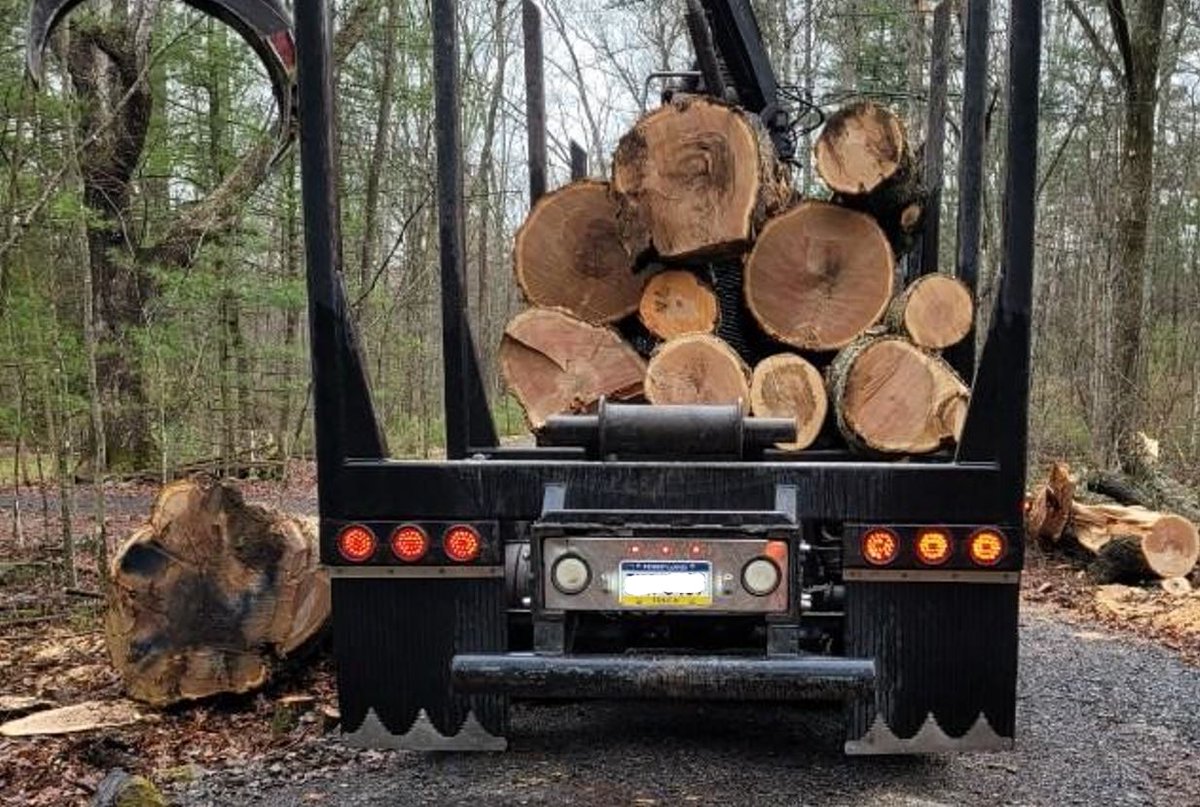 The Penn State Forester worked overtime last week to clear Univ. forest roads of storm-damaged trees to secure access through the Stone Valley Forest for trout anglers on Saturday. Photo credit: Kevin Cook