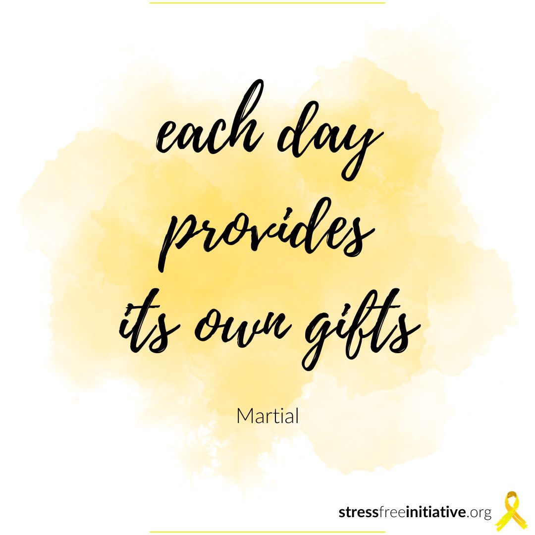 Stress Free Initiative tweet media