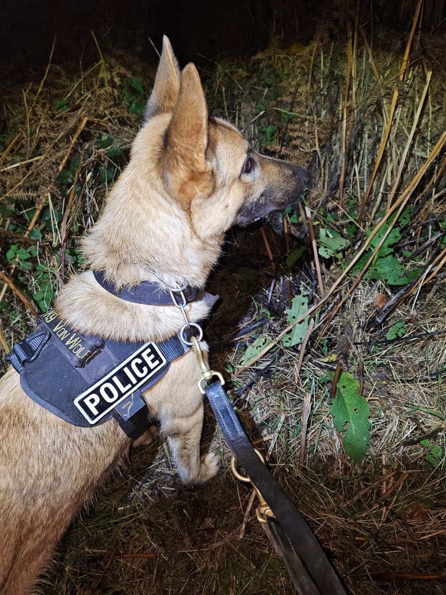 You can run, but you can't hide from PD Fury. After a robbery in Hereford, the offenders ran from Police and hid in various places where they never expected to be found. They were no match for team Fury, as handler and dog located the suspects, who were arrested and charged.