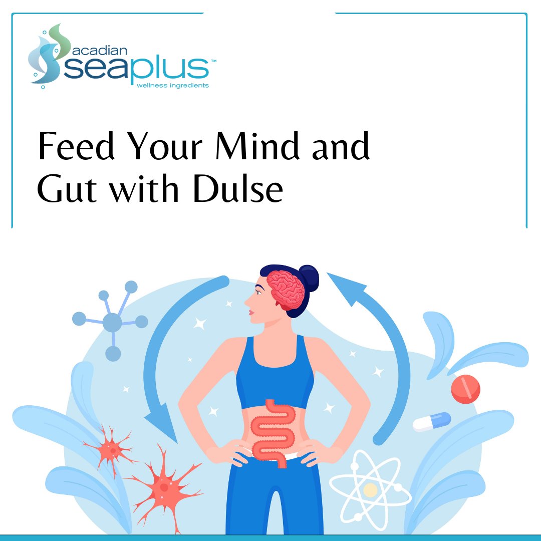 Did you know that what you eat can impact your gut AND your brain? Recent studies show that dulse's prebiotic fiber supports a thriving gut microbiota, leading to benefits for the gut-brain axis. Upgrade your diet with dulse and nourish both body and mind! acadianseaplus.com