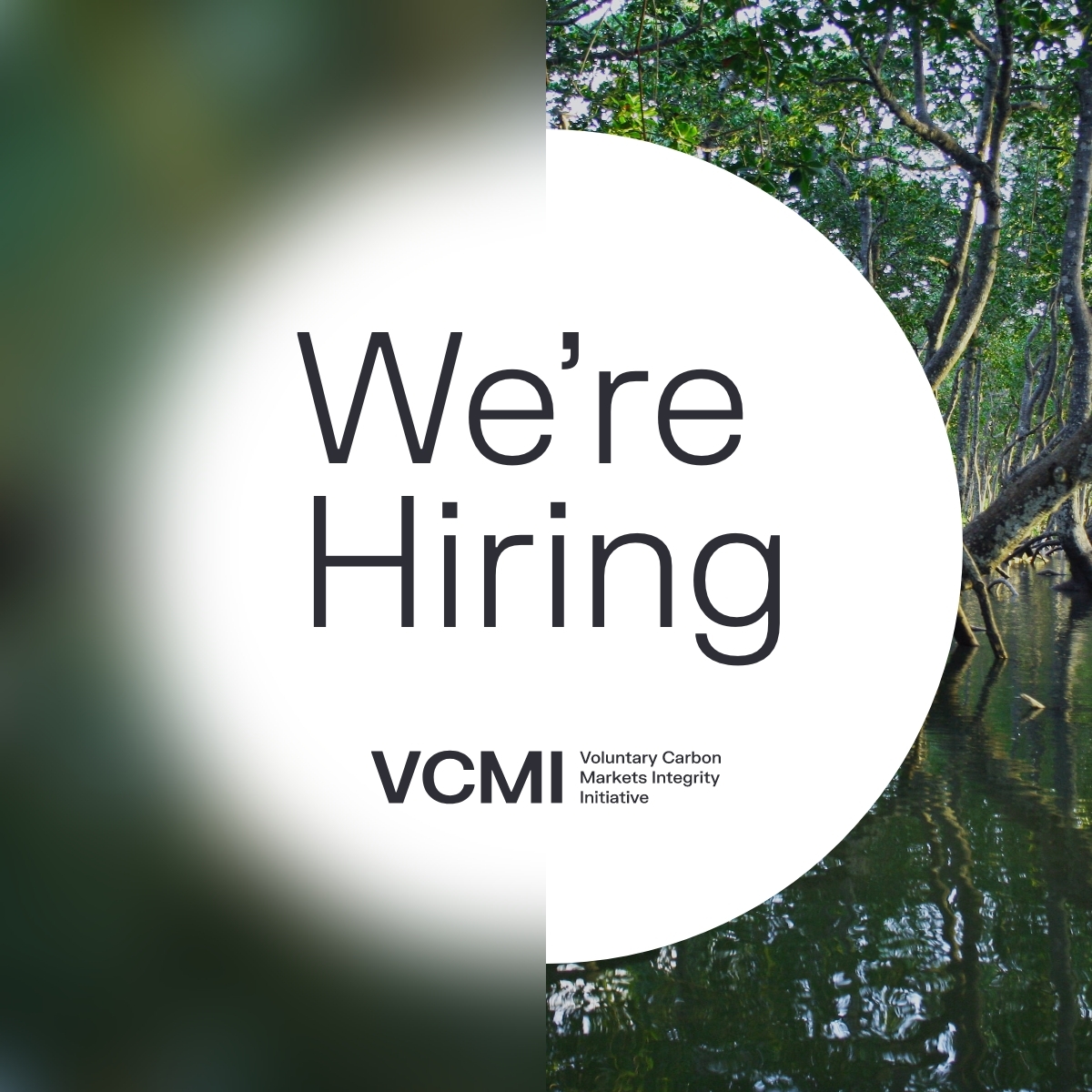 📣 Join our team! VCMI is #hiring a Technical Associate (Finance) – Markets and Standards to help develop key products aimed at advancing #climateaction and finance through a high-integrity voluntary #carbonmarket. Learn more and apply: vcmintegrity.org/working-at-vcm… #recruitment