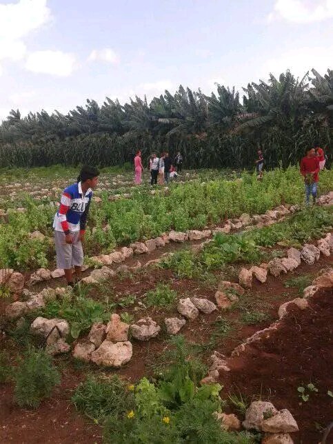 hubertjmlt's tweet photo. Como parte de la formación integral de los educandos se desarrolla la escuela al campo por parte de los estudiantes de 8vo grado. #EducacionLasTunas #EducacionJesusMenendez #Cuba https://t.co/uLADmia0XB