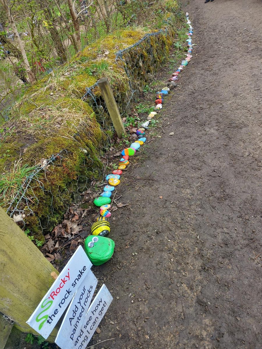 Have you seen Rocky yet at Daisy Nook #Failsworth #Oldham planned by @coopuk Member Pioneer @DaryllRiley ? Something free and fun for young people during the school holidays! Already more than 100 rocks long!! x.com/oldhamcouncil/… @NessCalverley @DellaMcDonald18 @bradski121