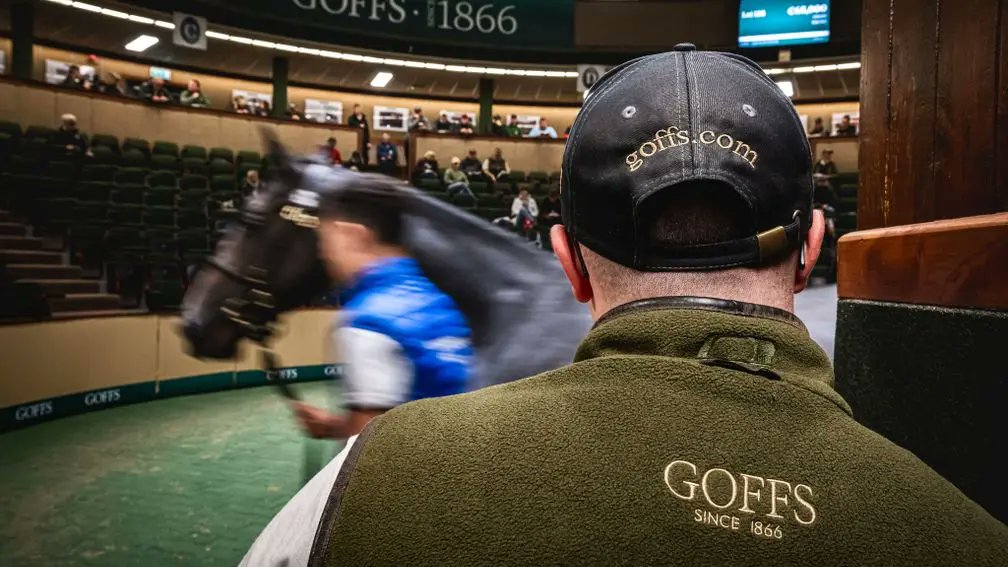 💬 'We look forward to collaborating with the Naas team to deliver a successful breeze-up where horses and clients will benefit from the world-class facilities at both Naas and Kildare Paddocks.' Goffs announces new breeze-up sale for 2025 👉 bit.ly/43R7JpC