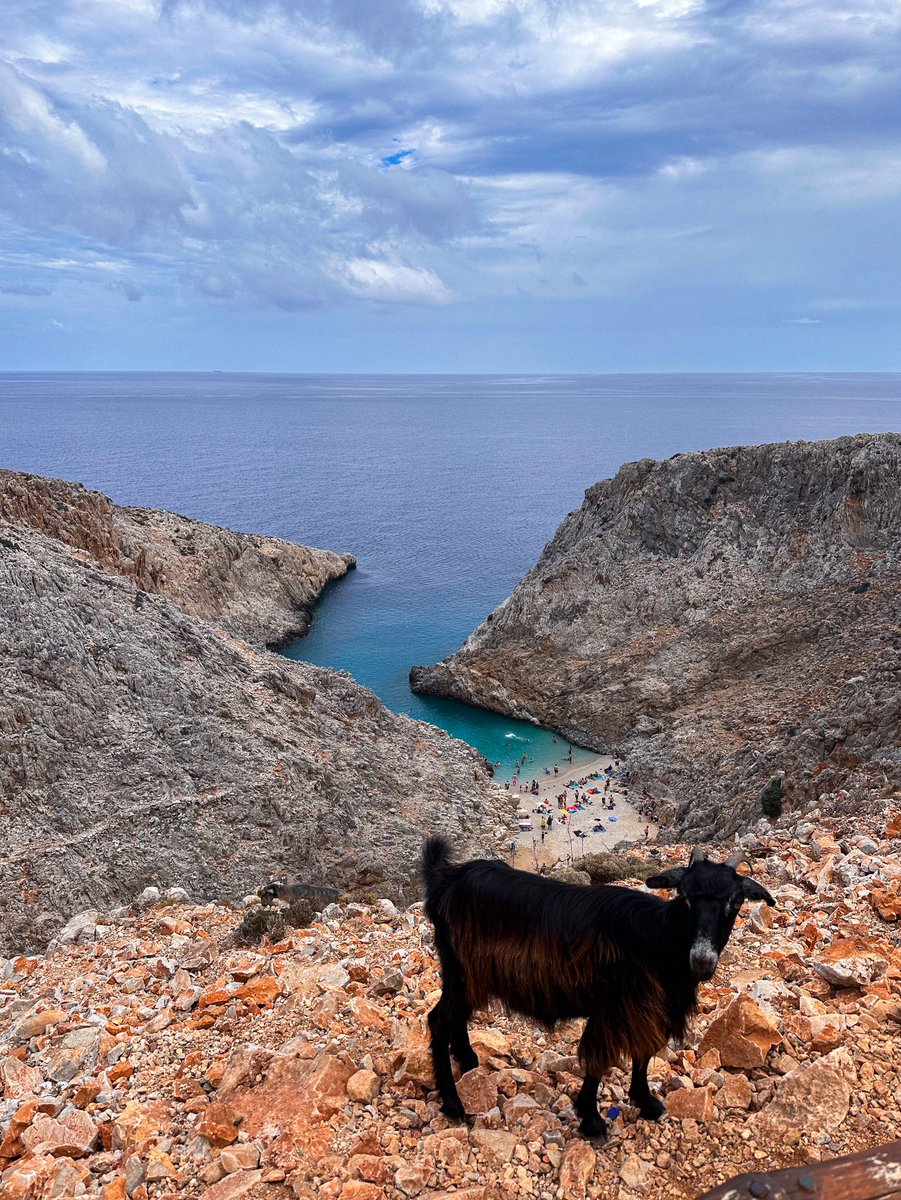 작가님 사진 보고 신혼 여행지로 그리스를 선택했는데 정말 후회 없었음! 산토리니보다 크레타가 훨씬, 훠어어얼씬 멋지고 좋았어… 또 가고 싶다😭