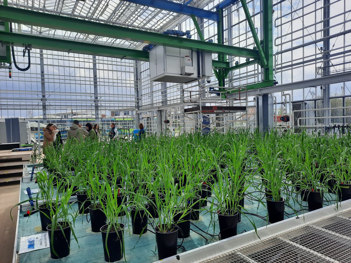 IRNASA-CSIC (@irnasa_csic) on Twitter photo Today we visited the world's oldest archive of soil and wheat samples and the scientific facilities of the <a href="/CranfieldUni/">Cranfield University</a> 👩🔬🌾
We also met with a promising start-up, SugaROx <a href="/caraagriffiths/">Cara Griffiths</a>
Thanks to all the partners for welcoming us so warmly! 😃 Today we visited the world's oldest archive of soil and wheat samples and the scientific facilities of the <a href="/CranfieldUni/">Cranfield University</a> 👩🔬🌾
We also met with a promising start-up, SugaROx <a href="/caraagriffiths/">Cara Griffiths</a>
Thanks to all the partners for welcoming us so warmly! 😃
