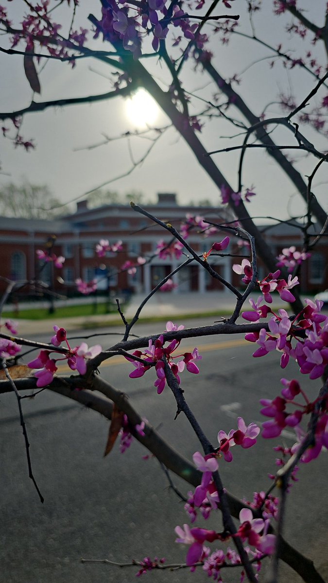 Beautiful morning here on the campus of @MaryWash