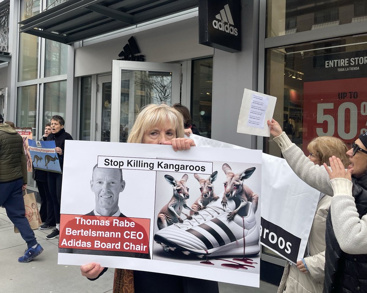 As the sportswear industry's largest purchaser of kangaroo skin, #adidas is responsible for the annual slaughter of hundreds of thousands of kangaroos, including lactating mothers and their joeys. @adidas Board Chairman Thomas Rabe, who is also @BertelsmannSt CEO, claims that…