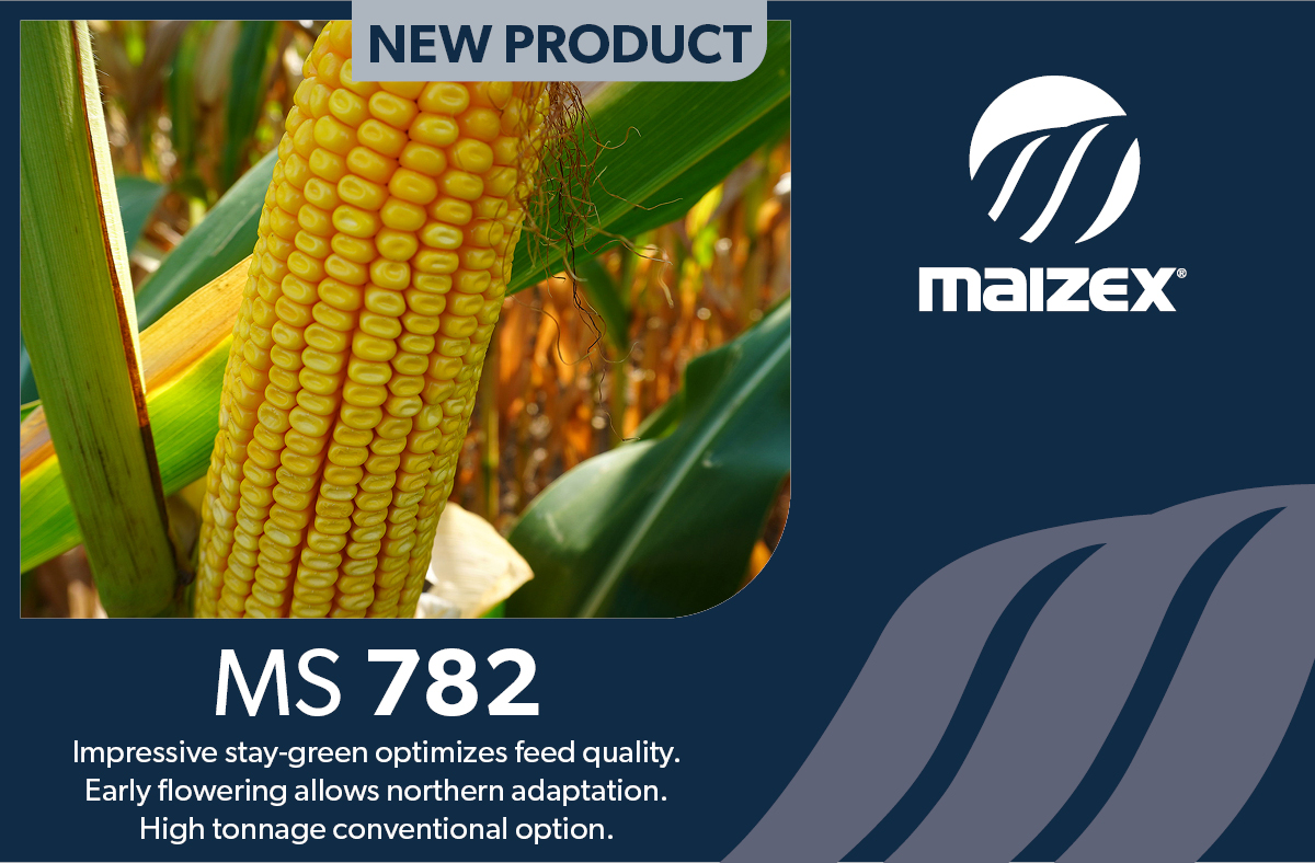 Still need some seed? Talk to your #MaizexDealer about which hybrids are best for you! #fieldbyfield #Plant24 #CanadianGrownCanadianOwned