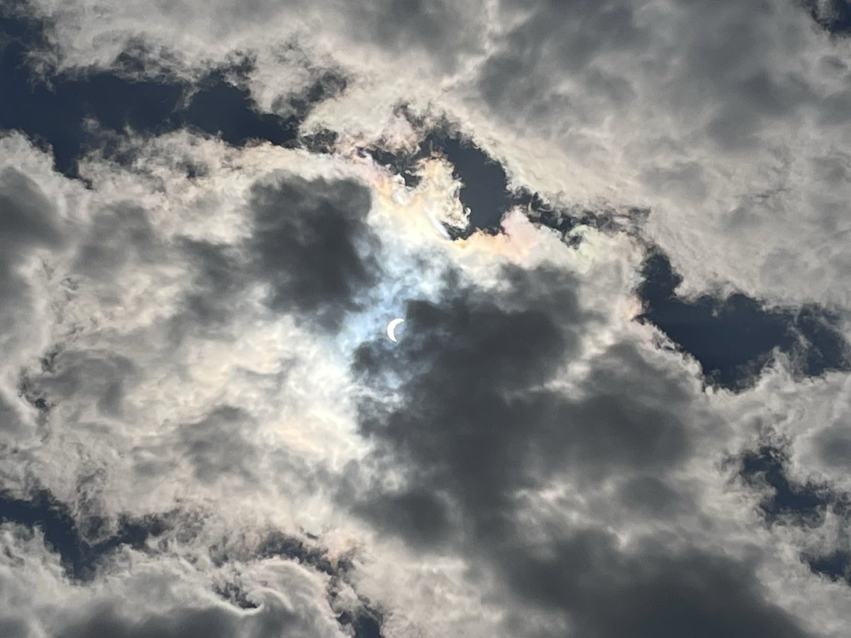 Morgan Robinson tweet media