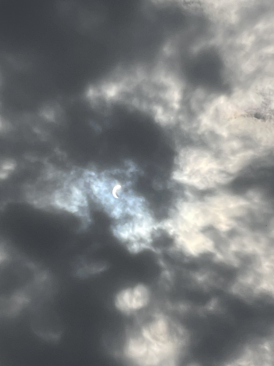 Morgan Robinson tweet media