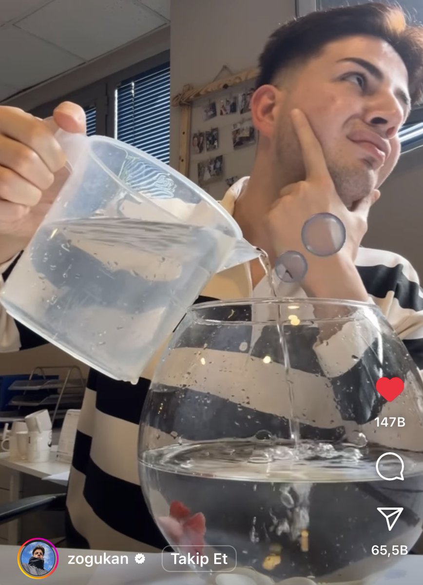 dramatik videolar izlemeyi çok seviyorum(evlat kokulu ayfergülün küçük bi gecekondudan geniş kapasiteli okyanusuna geçişi)🥹