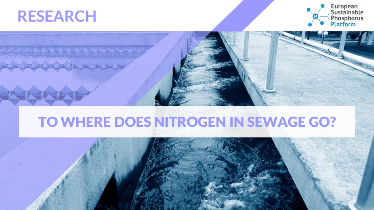 The authors of a paper analysing data for France estimate around 10% N losses to water #upstream of sewage works. Of the N arriving at sewage works, around 50% is #lost to air in sewage works, 40% to #surface #waters and only around 10% #recycled to land👉 lnkd.in/dJZeviAK