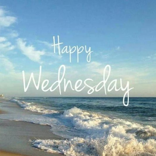 Good Morning, 

Wednesday means half way through the week. 

Happy Wednesday - hope you have a good day. 😊🧡

#SFH🌻