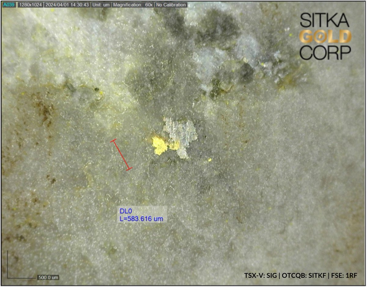 NEWS RELEASE | Sitka Intercepts Visible Gold in Second Step Out Diamond Drill Hole of 2024 at its RC Gold Project in Yukon! Read today’s news in full: 👉 tinyurl.com/yu832z2z $SIG $SITKF #yukongold #visiblegold #investyukon #mining #geology #exploration