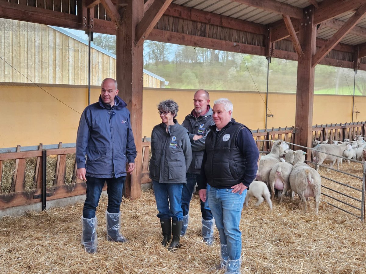 Présentation et visite du CIIRPO avec François Vannier, Président et Joël Merceron, directeur de l' @InstitutElevage #elevage #ovin