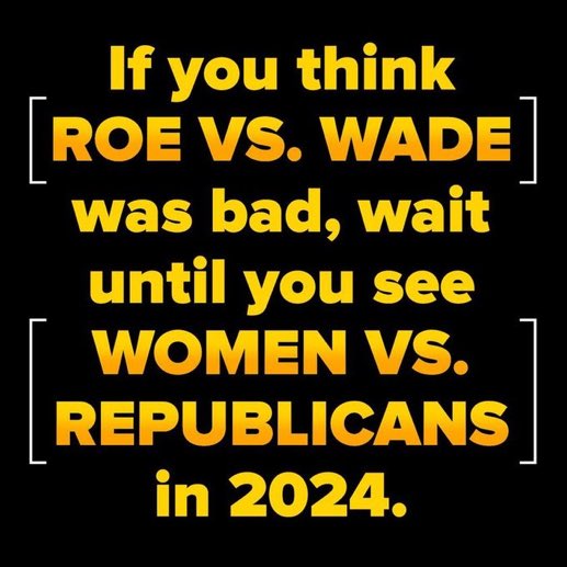 If you think we women are going to sit still and let you take our rights away with out a fight, you are very mistaken. Abortion is the biggest issue in 2024, due to Republicans lack of knowledge of women's bodies. #VoteBlueToProtectWomensRights #wtpGOTV24 #DemVoice1