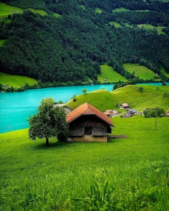 Sé feliz, porque la piedra en el camino nunca es demasiado grande, porque el dolor siempre se supera, porque la vida da segundas oportunidades, porque de los errores se aprende. Sé feliz porque a eso fue que venimos. 🖊 Karmoles 📸 Paisajes de Suiza #FelizMartesATodos