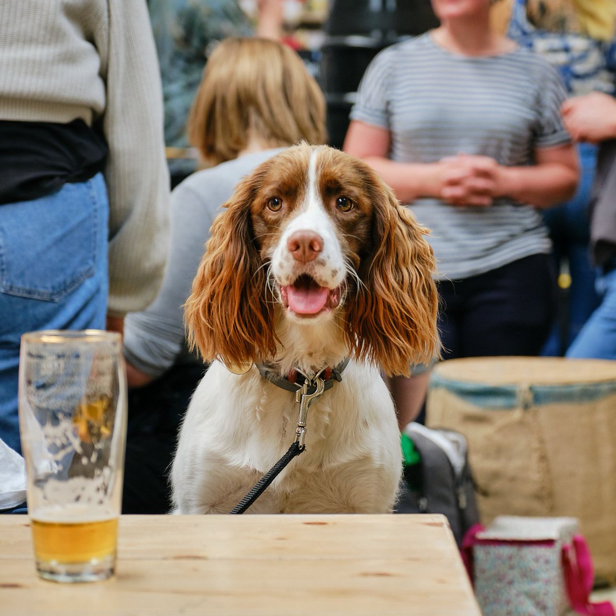Dog Day Afternoon Beer Launch! 🐩🐕

FRI 12th APR, 4-10pm
91 Whitby RD, BS44AR

The wait is over! Join us for the exclusive first pour our new Dog Day Afternoon Kölsch-style beer PLUS check out this year's SIX limited edition can designs! 🍻🐾

lostandgrounded.co.uk/taproom-events