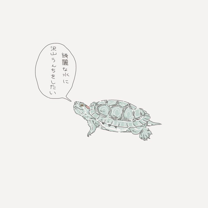 🐢 