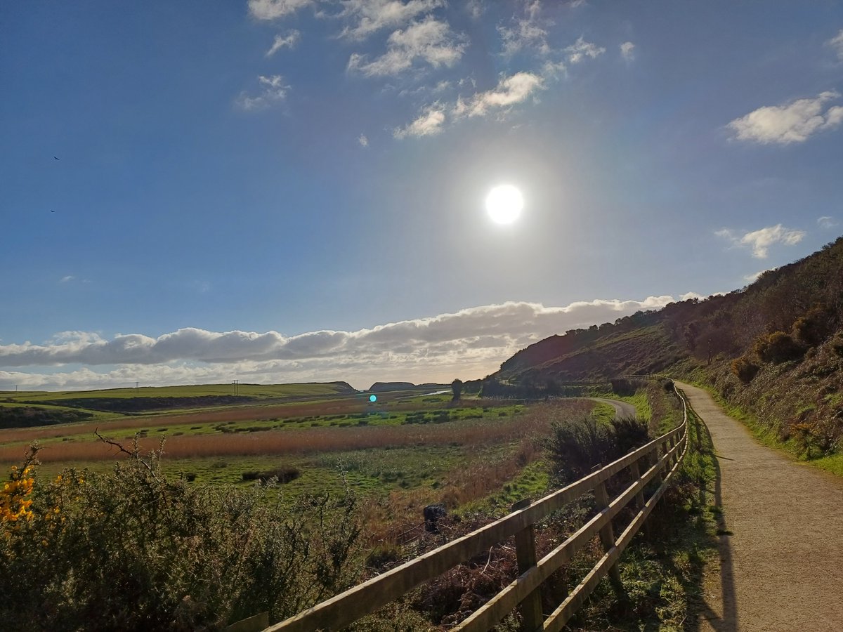 🚶‍♀️The #AnneValleyWalk brings you under Dunhill Castle and leads to the Copper Coast, passing by herons, swans and otters on its way 🎉See more on its new @DiscoverIreland page here: 👉discoverireland.ie/waterford/anne… #WalksWaterford #hikingireland #walkingireland @Failte_Ireland