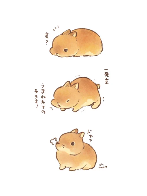 🐰こうさぎです!芸できます! 