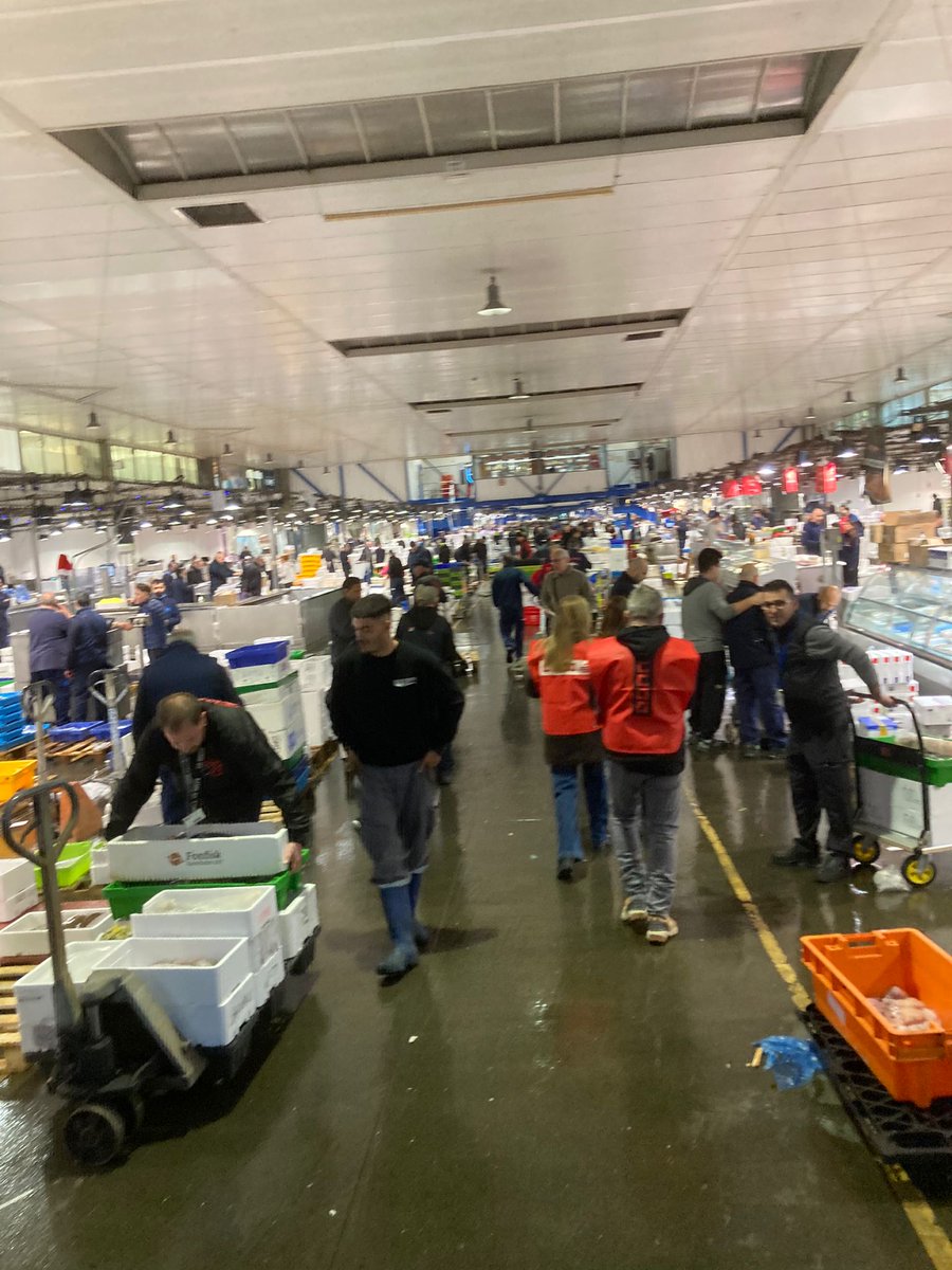 Avui al matí hem estat al mercat del peix en Mercabarna, convocant els treballadors a participar a l'assemblea de peix per parlar sobre el conveni col·lectiu i les eleccions sindicals @ccoocatalunya #ambtuconstruïmelfutur