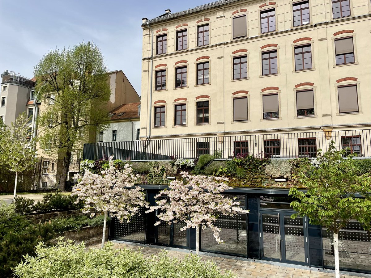 science2school's tweet photo. Spring vibes today at Gymnasium Dreikönigsschule #Dresden https://t.co/lqULNMjc8P