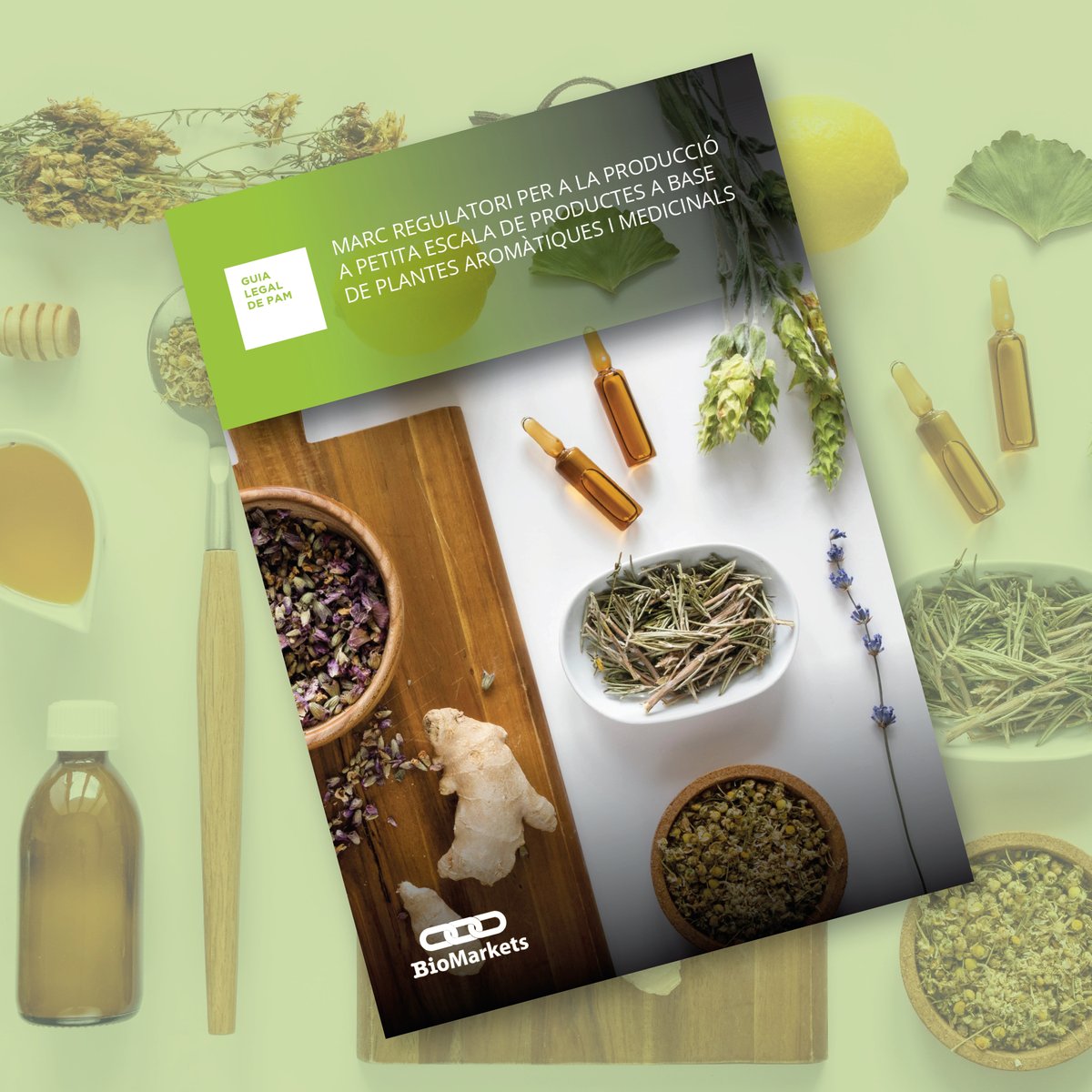 🌼Vols emprendre un negoci en el sector de les plantes aromàtiques i medicinals? Des del projecte #BioMarkets et donem una empenta amb el manual “Marc Regulatori per a la Producció a Petita Escala de Productes a base de Plantes Aromàtiques i Medicinals” 📑tuit.cat/w62t9