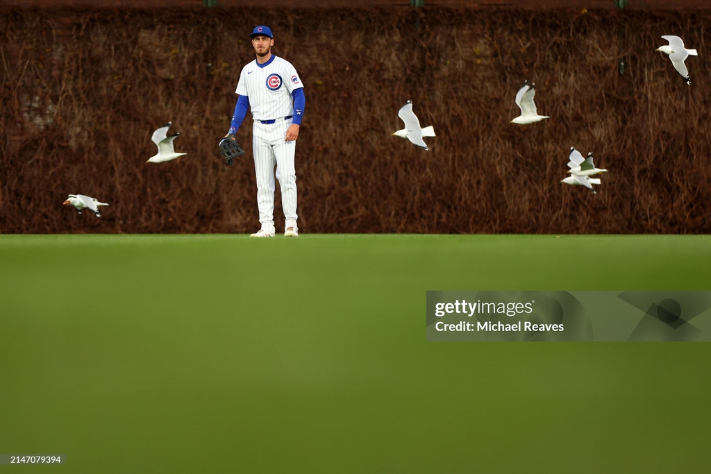 GettySport's tweet photo. Some of the best images from our Americas Sports photographers from last week. 📷:  @Christiankp21 + @MichaelMReaves + @KEVORKD + @StephChambers76  #gettysport #bestpic #pictureoftheday #sportsphoto #sportsphotography.  More 📷 here https://t.co/tEXH50xXtD https://t.co/6hXZHvoPE4