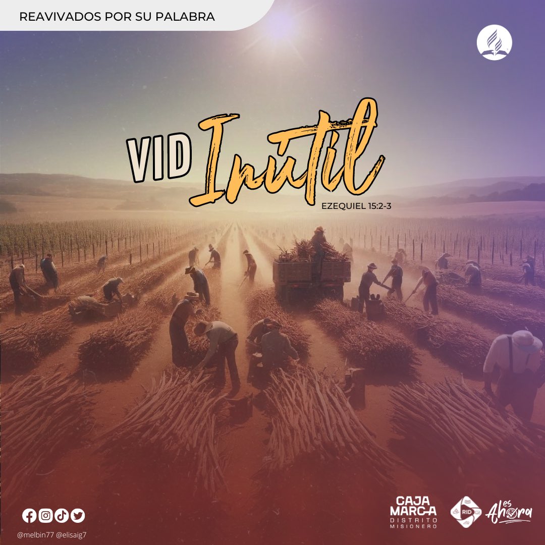 Melbin77's tweet photo. Una vid sin frutos es como una vida sin propósito, destinada a ser descartada. Dios anhela que demos frutos de arrepentimiento, confesión y conversión. Estos frutos son de olor grato para Dios, porque confirma el plan de Salvación.

#Ez15 #VidaConPropósito #PrimeroDios #rpsp https://t.co/J38MxXzh2I