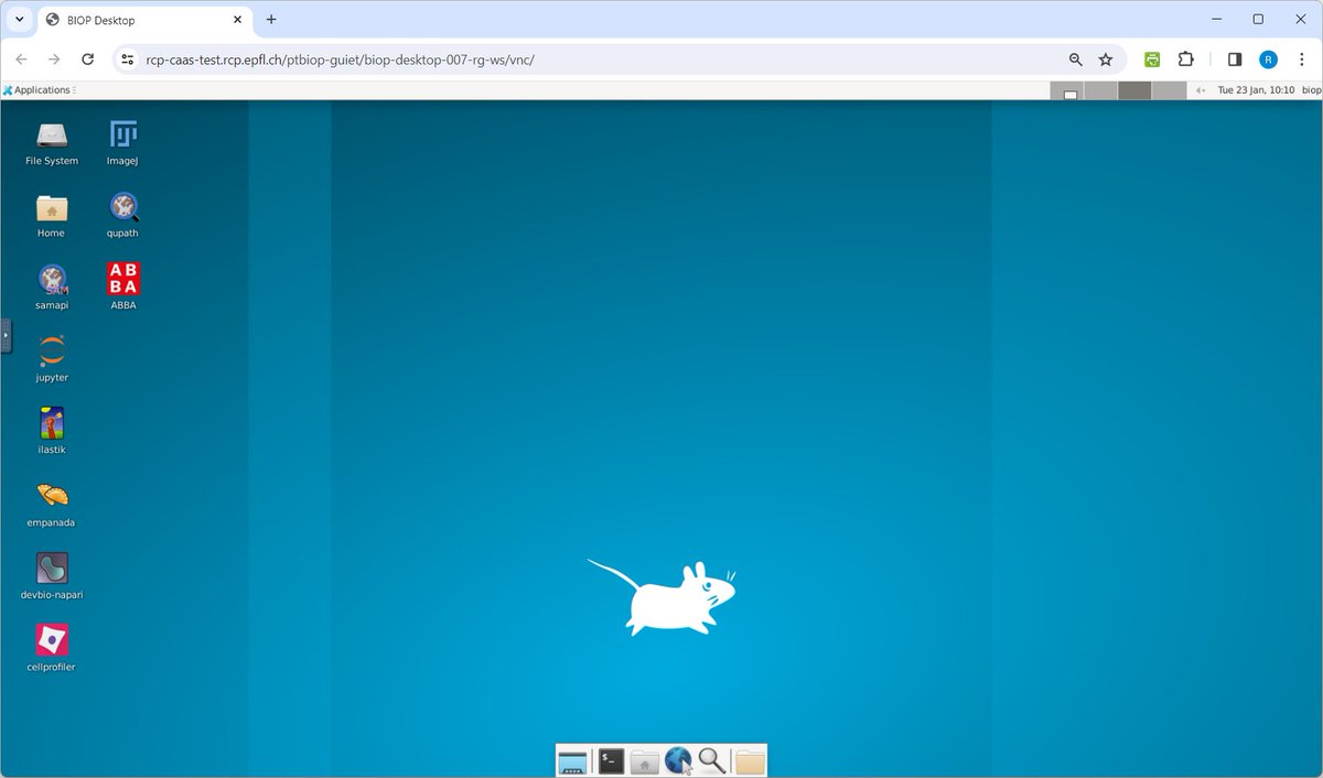 It is my great pleasure to officially announce the release of our BIOP-desktop and its documentation 🖥️📖🔬 🎉 more on the forum forum.image.sc/t/biop-desktop… #bioimageanalysis #docker #jupyterlab @EPFL_en @epflSV @LeBIOP
