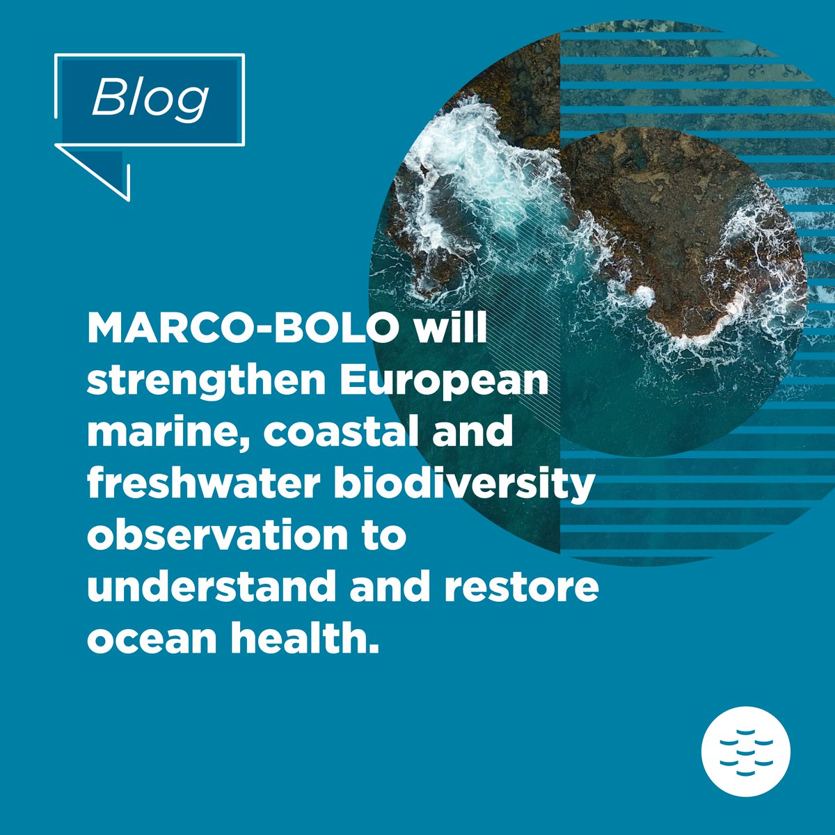EMBRC_EU's tweet image. #EMBRCBlog I 👉Learn about #MarcoBolo at the #OceanDecade24  conference  

🔷€7.3m 4yr EU project
🔷28 organisations collaborating 
🔷Engage policymakers for positive impact

tinyurl.com/2k4eyf5h