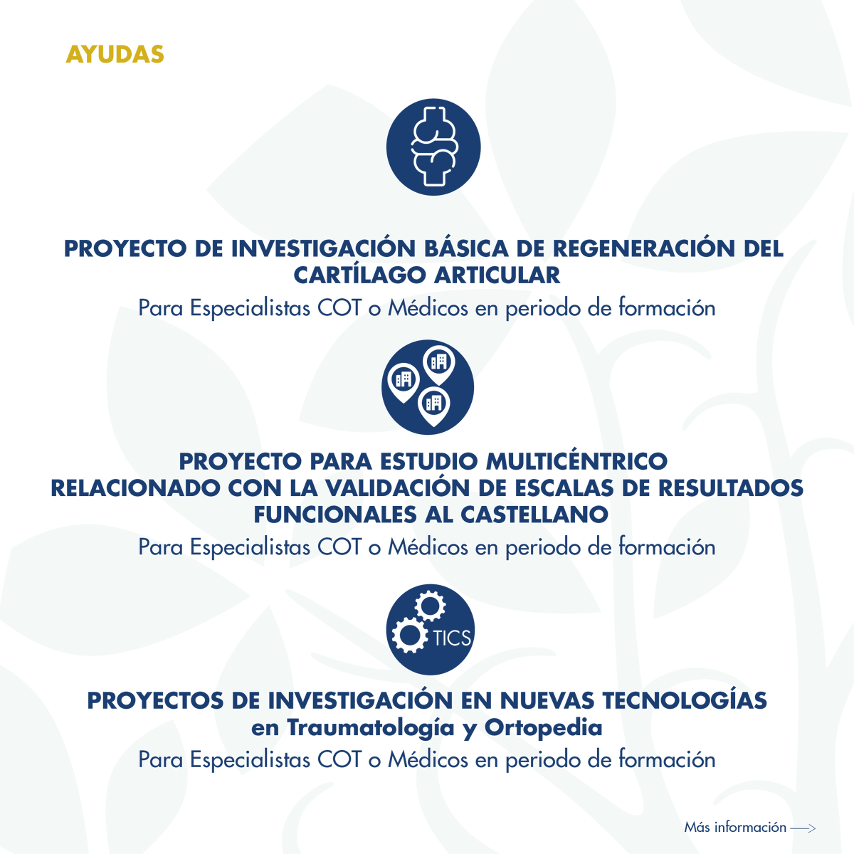 🔬AYUDAS A PROYECTOS DE INVESTIGACIÓN EN COT🔬 Este 2024, convocamos 12 plazas para estas ayudas: - Investigación - Iniciación a la investigación - Regeneración cartílago articular - Estudio multicéntrico - Nuevas tecnologías Toda la info aquí📲secot.es/fundacion-conv…