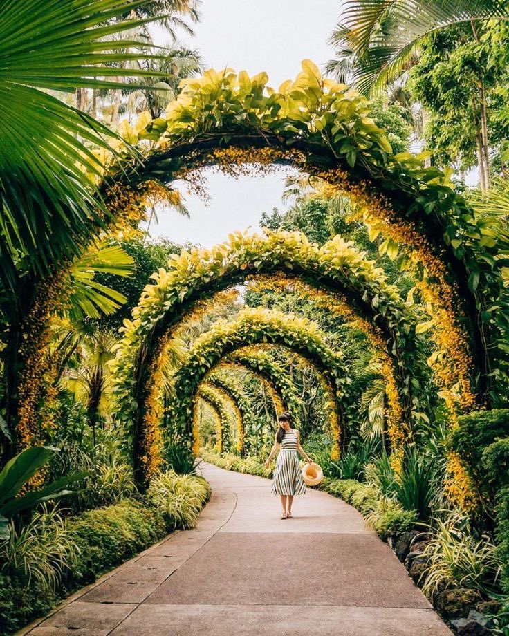 Singapore Botanic Gardens 🌼#TravelTuesday