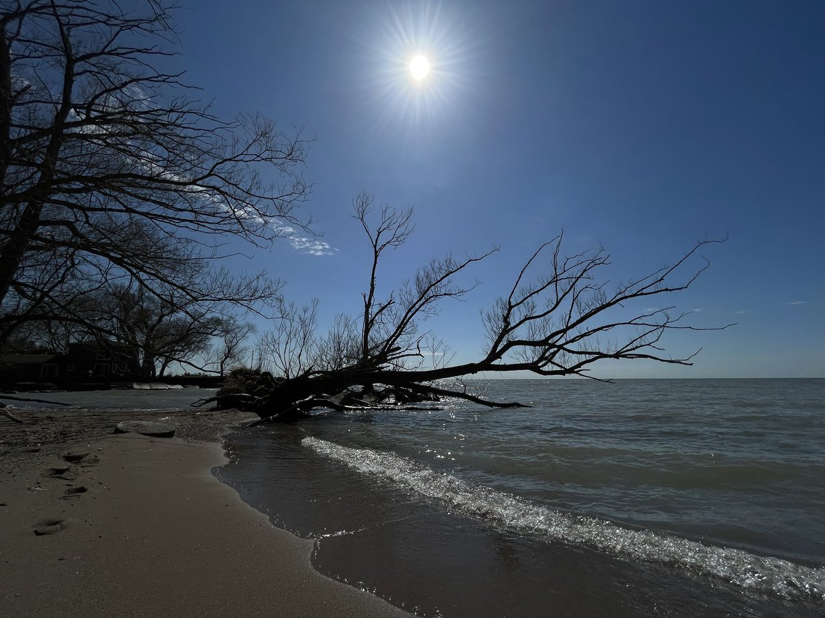 Pat Misur tweet media