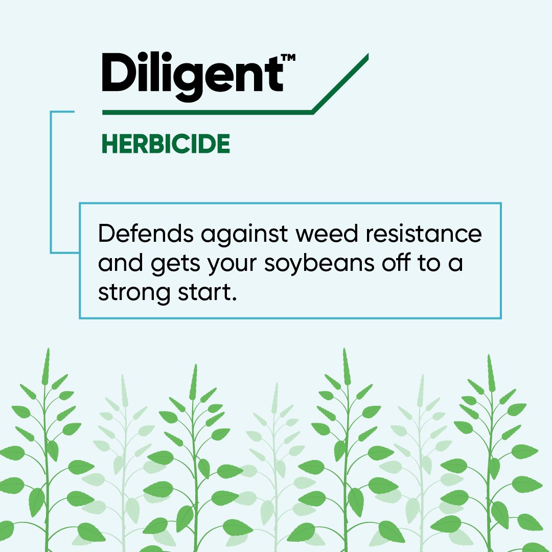If you need to control tough weeds like Canada fleabane or waterhemp in your #EnlistE3 soybeans, it’s important to start with a pre-emergence herbicide application. Ask your rep about Canopy PRO or Diligent #herbicides to find the best fit for your farm. #Plant24 🌱