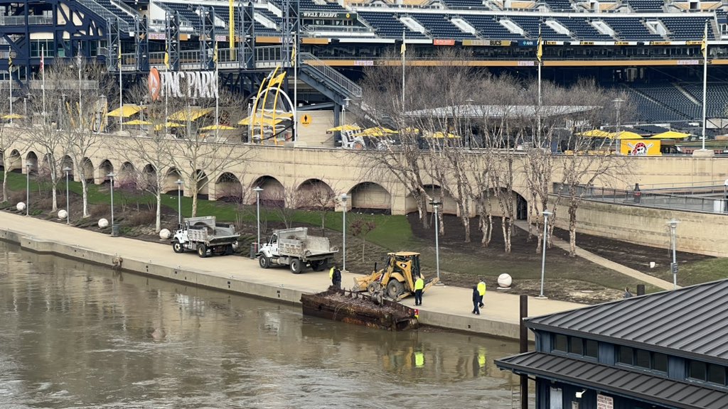 Steven Adams tweet media